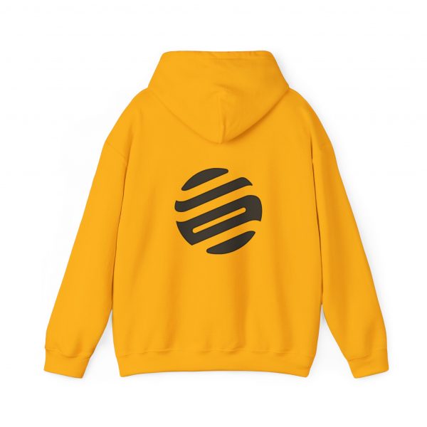 Black Luminary Hoodie for Men - Stylish Lion Graphic Pullover - Comfortable and Warm Streetwear - Perfect Gift for Fashion-Forward Men - Image 62