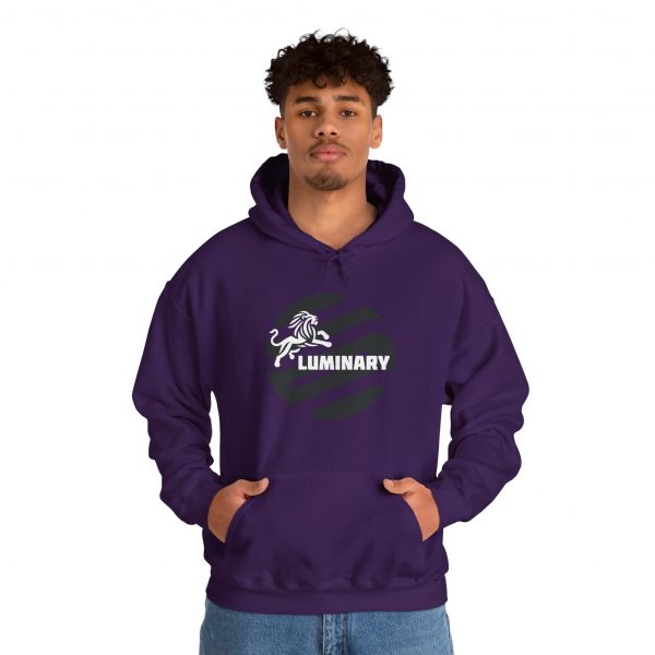 Black Luminary Hoodie for Men - Stylish Lion Graphic Pullover - Comfortable and Warm Streetwear - Perfect Gift for Fashion-Forward Men - Image 35