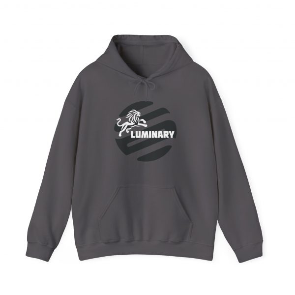 Black Luminary Hoodie for Men - Stylish Lion Graphic Pullover - Comfortable and Warm Streetwear - Perfect Gift for Fashion-Forward Men - Image 56