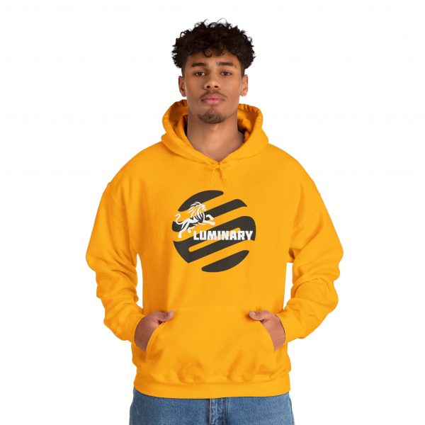 Black Luminary Hoodie for Men - Stylish Lion Graphic Pullover - Comfortable and Warm Streetwear - Perfect Gift for Fashion-Forward Men - Image 65