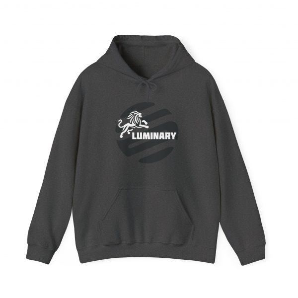 Black Luminary Hoodie for Men - Stylish Lion Graphic Pullover - Comfortable and Warm Streetwear - Perfect Gift for Fashion-Forward Men