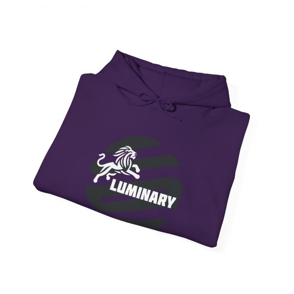 Black Luminary Hoodie for Men - Stylish Lion Graphic Pullover - Comfortable and Warm Streetwear - Perfect Gift for Fashion-Forward Men - Image 34